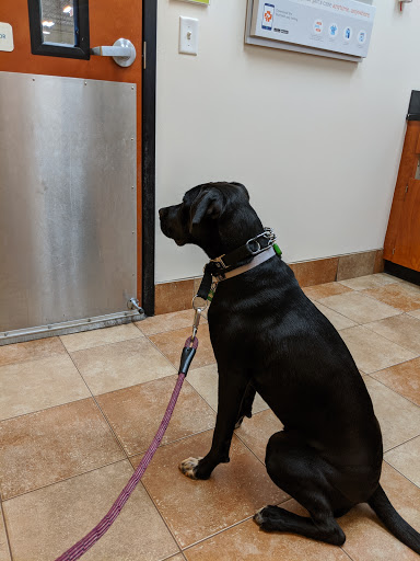 Pet Supply Store «PetSmart», reviews and photos, 2135 NJ-38 Ste B, Cherry Hill, NJ 08002, USA