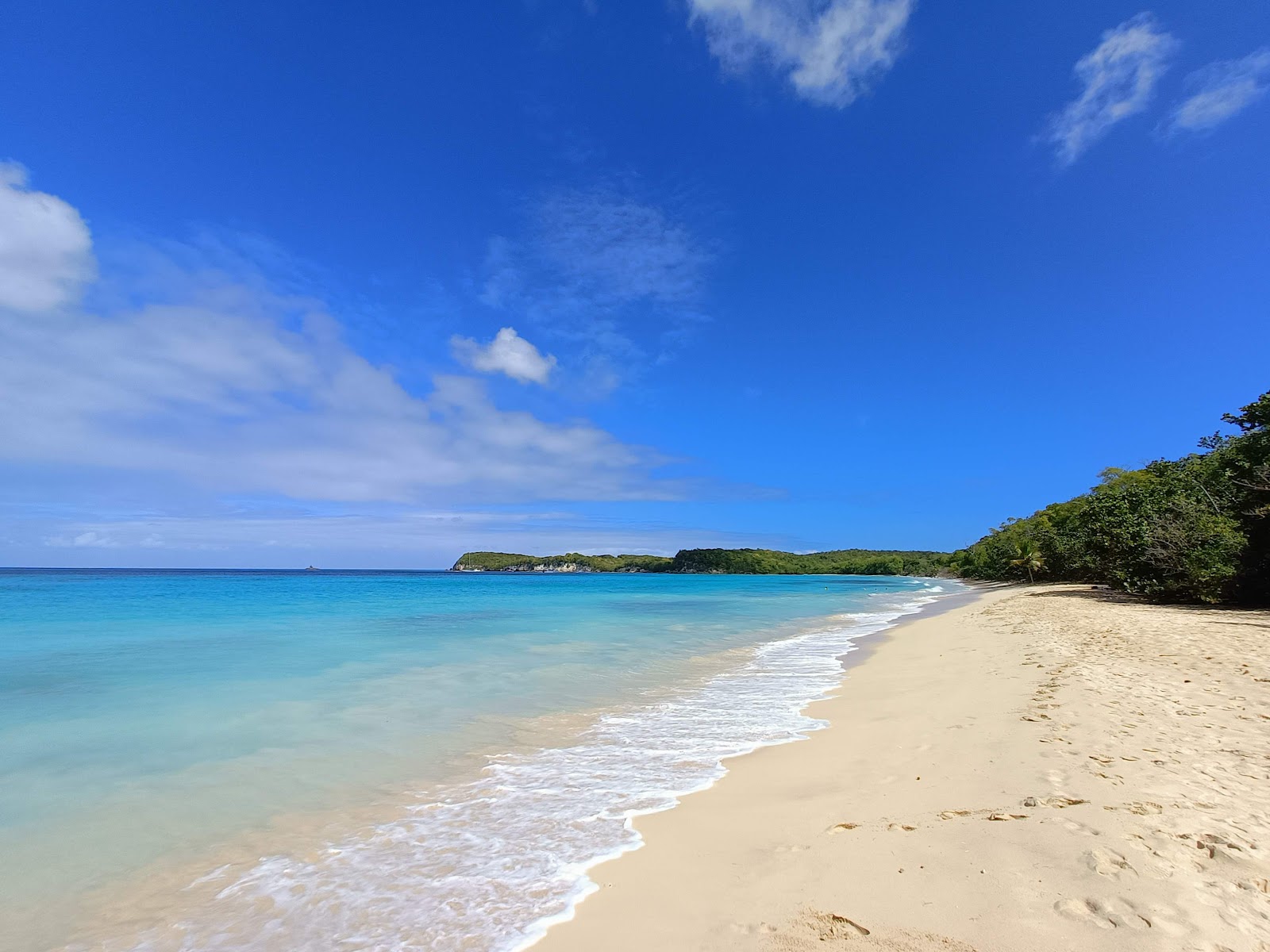 Zdjęcie Plage Moustique dziki obszar