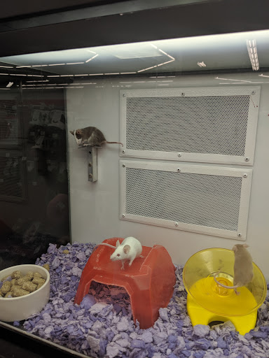 Pet Supply Store «Petco Animal Supplies», reviews and photos, 1337 N National Rd, Columbus, IN 47201, USA