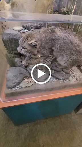 Nature Preserve «Effie Yeaw Nature Center», reviews and photos, 2850 San Lorenzo Way, Carmichael, CA 95608, USA