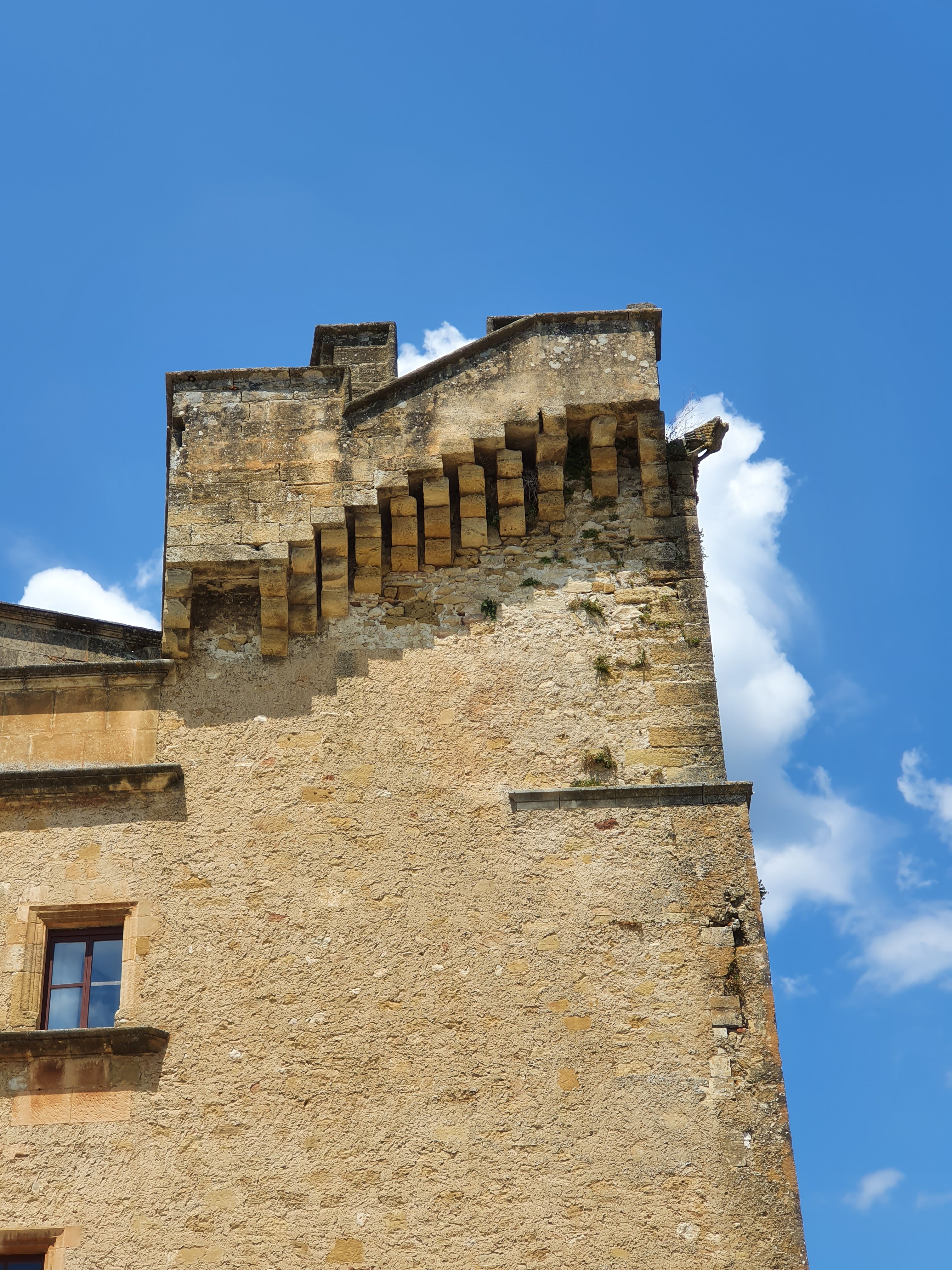 Photo n° 6 de l'avis de NELLY.A fait le 18/07/2020 à 16:09