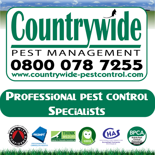 Countrywide Pest Control - Southampton