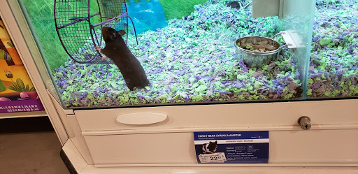 Pet Supply Store «PetSmart», reviews and photos, 1116 S Rochester Rd, Rochester Hills, MI 48307, USA