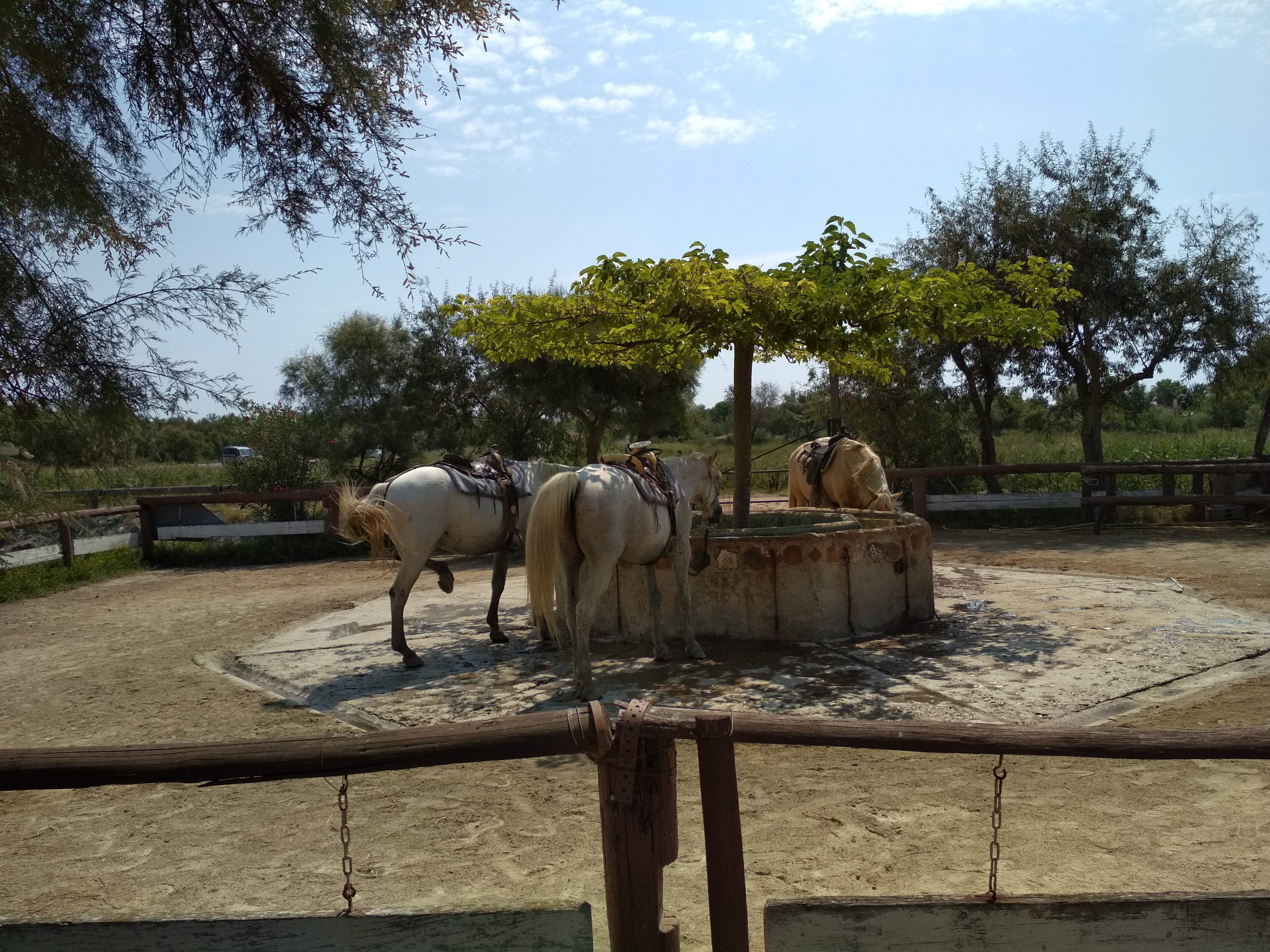 Photo n° 1 de l'avis de Valerio.a fait le 23/08/2018 à 11:15