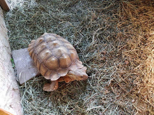 Nature Preserve «Autrey Mill Nature Preserve & Heritage Center», reviews and photos, 9770 Autrey Mill Rd, Johns Creek, GA 30022, USA
