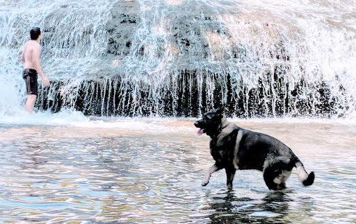 Nature Preserve «Thistlethwaite Falls», reviews and photos, 65 Waterfall Rd, Richmond, IN 47374, USA