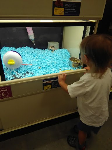 Pet Supply Store «PetSmart», reviews and photos, 2150 Paxton Ln SW, Lilburn, GA 30047, USA