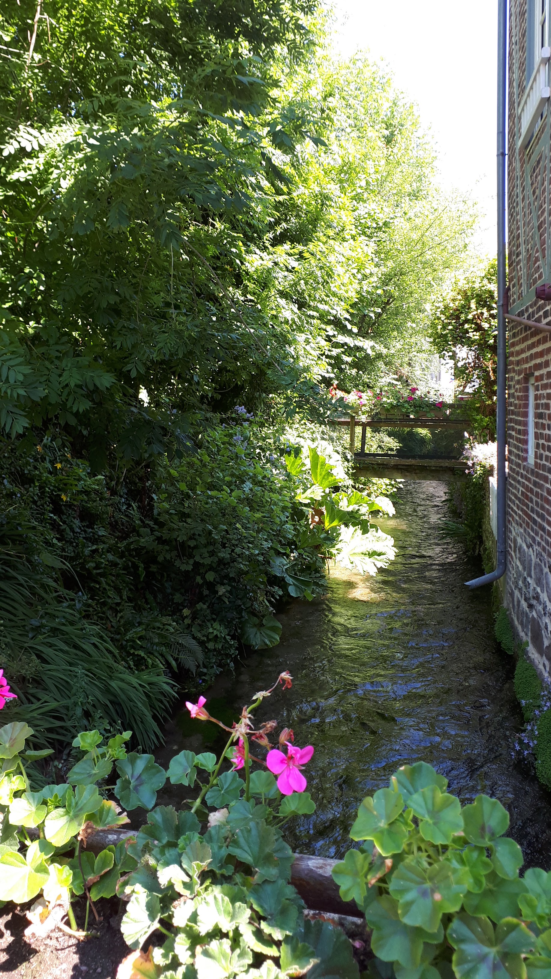 Photo n° 4 de l'avis de nathalie.a fait le 11/07/2019 à 16:53