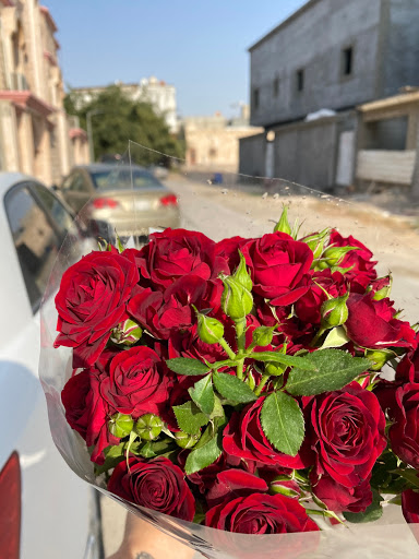 ورود الأحساء 