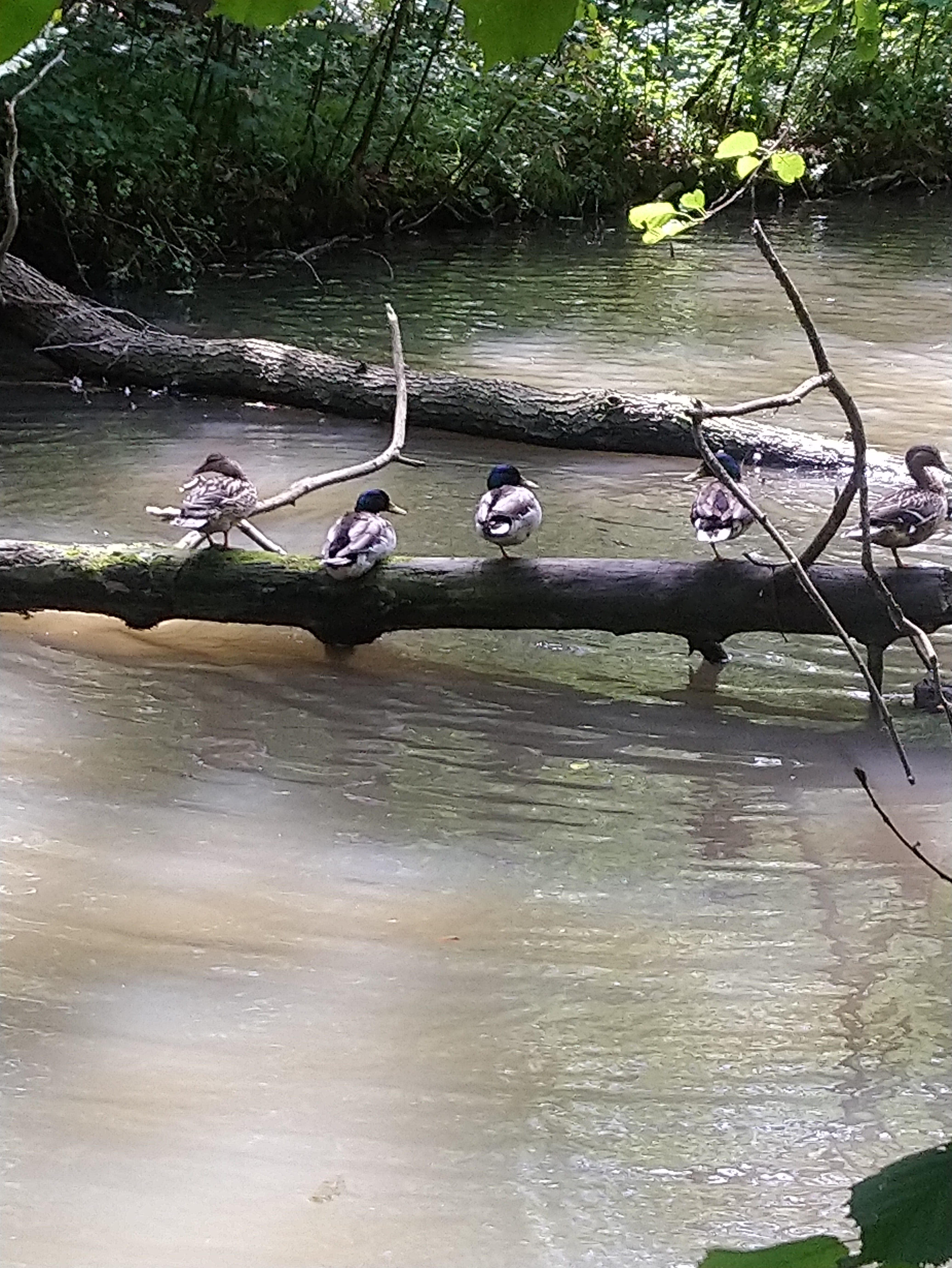 Photo n° 19 de l'avis de Lucien.e fait le 10/06/2019 à 14:26