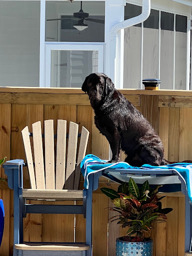 Swimming Pool Contractor «Heritage Pools LLC», reviews and photos