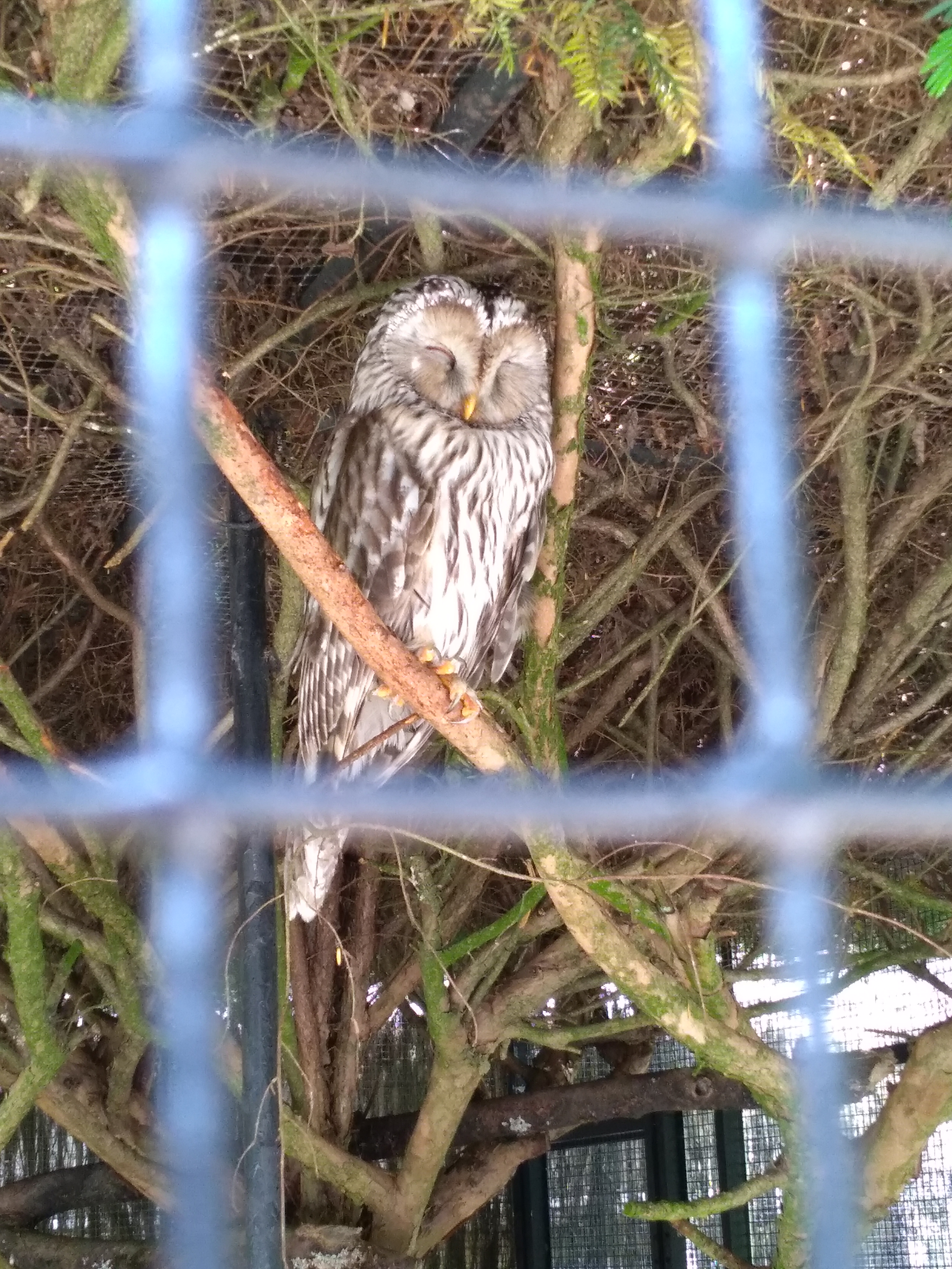 Photo n° 6 de l'avis de Antonin.r fait le 26/05/2018 à 15:29