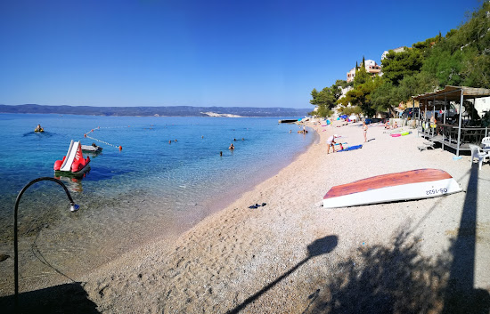 Mimice beach