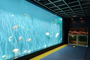 Hakone-en Aquarium image