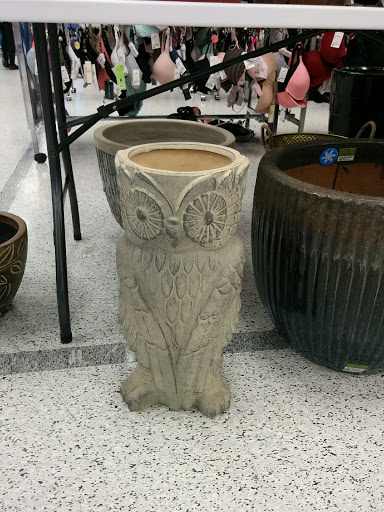 Clothing Store «Ross Dress for Less», reviews and photos, 7615 Evergreen Way, Everett, WA 98203, USA