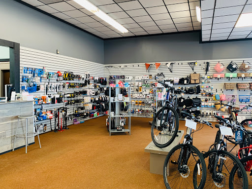 Bicycle Store «Al Petri & Sons Bicycle Center», reviews and photos, 2160 Fort St, Lincoln Park, MI 48146, USA