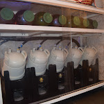 Photo n°11 de l'avis de Niko. fait le 22/10/2021 à 18:25 sur le  Mezzopieno à Molfetta