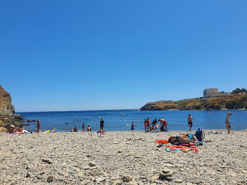 Sentier Sous-Marin de Cerbère-Banyuls à Cerbère