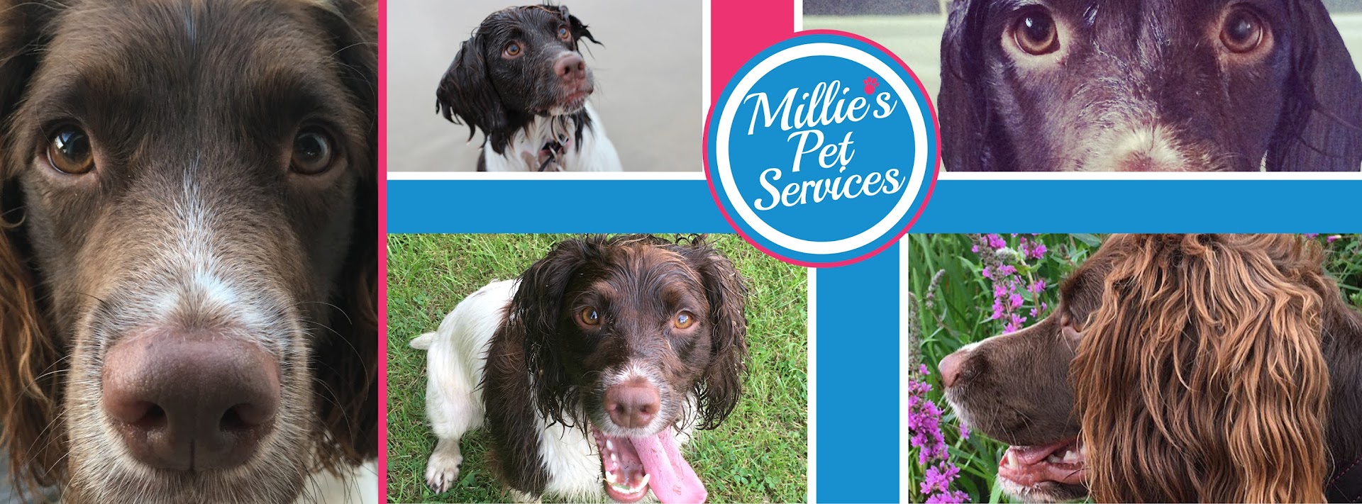 Millie's Pet Services