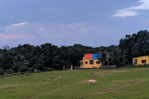 Hashivare Cricket Ground image