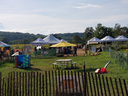 Tourist Attraction «Sussex County Sunflower Maze», reviews and photos, 101 Co Rd 645, Sandyston, NJ 07826, USA