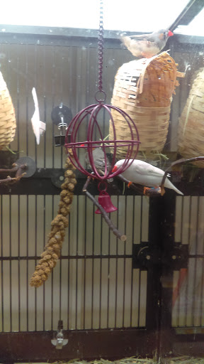 Pet Supply Store «PetSmart», reviews and photos, 10460 Town Center Dr, Westminster, CO 80021, USA