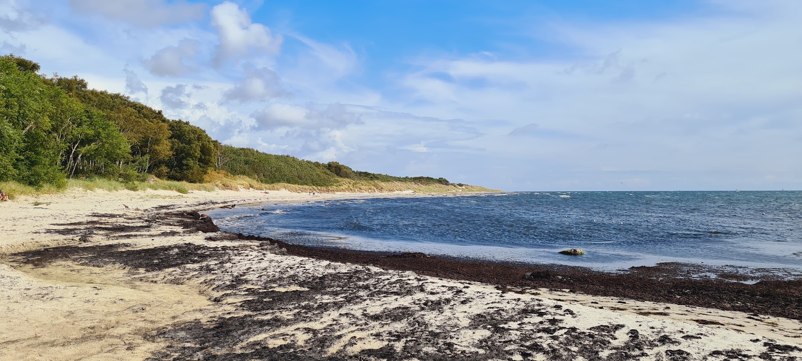Foto von Strand Molle Odde mit langer gerader strand