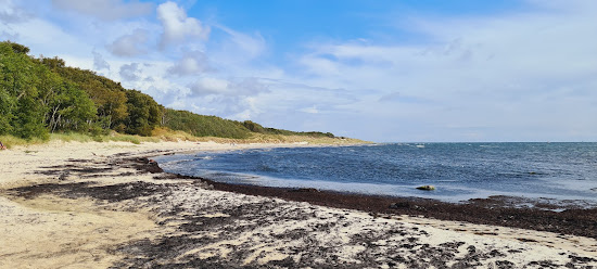 Strand Molle Odde
