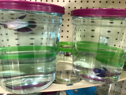 Pet Supply Store «PetSmart», reviews and photos, 3351 Jefferson Davis Hwy, Alexandria, VA 22305, USA