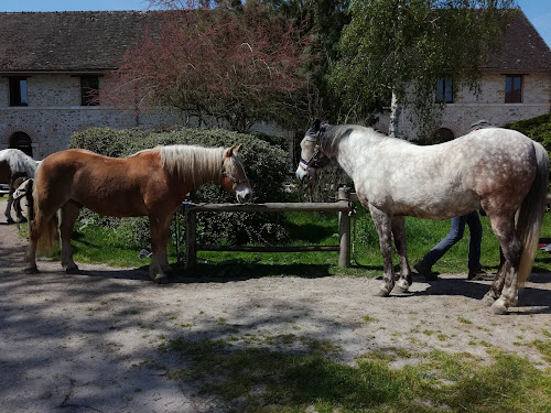 Ferme Equestre de Graville à Vernou-la-Celle-sur-Seine