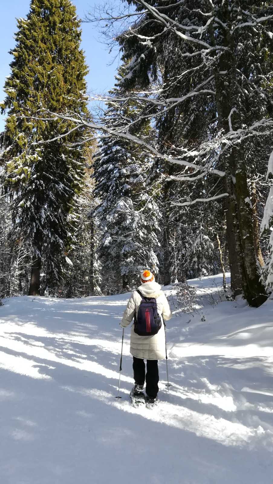 Photo n° 2 de l'avis de paisajes,.i fait le 08/03/2020 à 23:01