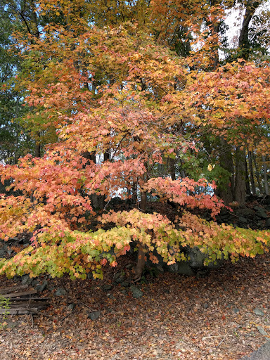 Nature Preserve «Maltby Lakes», reviews and photos, Derby Turnpike, West Haven, CT 06516, USA