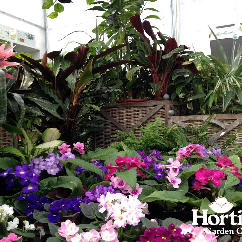 Hortilus Garden Center