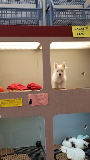 Pet Store «The Pet Pad», reviews and photos, 1239 NW Maynard Rd, Cary, NC 27513, USA