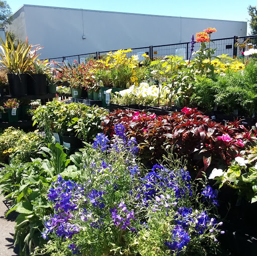 Hardware Store «Laurel Ace Hardware», reviews and photos, 4024 MacArthur Blvd, Oakland, CA 94619, USA