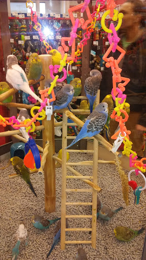 Shopping Mall «Hillcrest Shopping Center», reviews and photos, 1855 E Main St #10, Spartanburg, SC 29307, USA