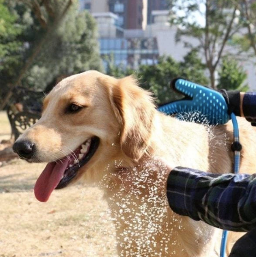 Car Wash «Dog Gone Clean Car and Pet Wash», reviews and photos, 1118 Roosevelt Ave, York, PA 17404, USA