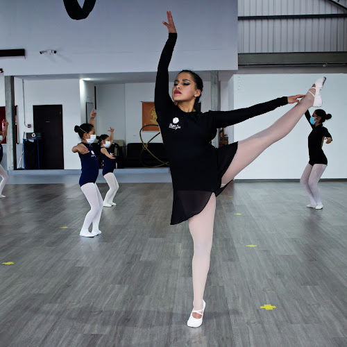 Opiniones de Ballet Sur, Sucursal La Nave en Quito - Escuela