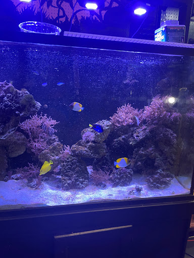 Pet Store «Off The Hook Exotics Pet Shop», reviews and photos, 926 5th Ave, Coraopolis, PA 15108, USA