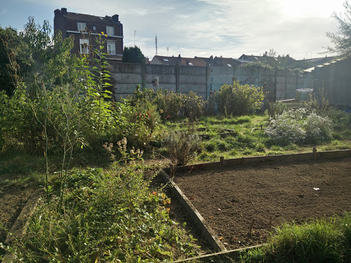 Jardin communautaire Lille