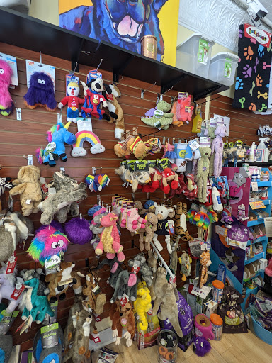 Pet Supply Store «The Dog Store», reviews and photos, 2301 Mt Vernon Ave, Alexandria, VA 22301, USA