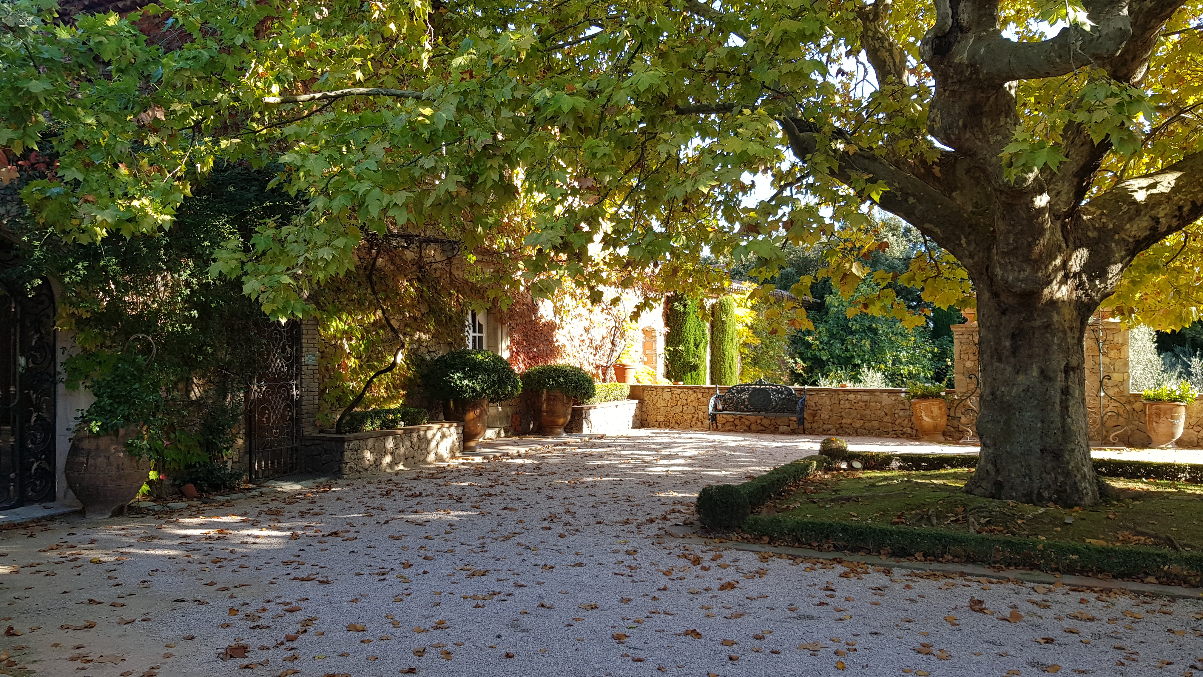 Photo n° 3 de l'avis de Floriane.r fait le 14/11/2020 à 20:20