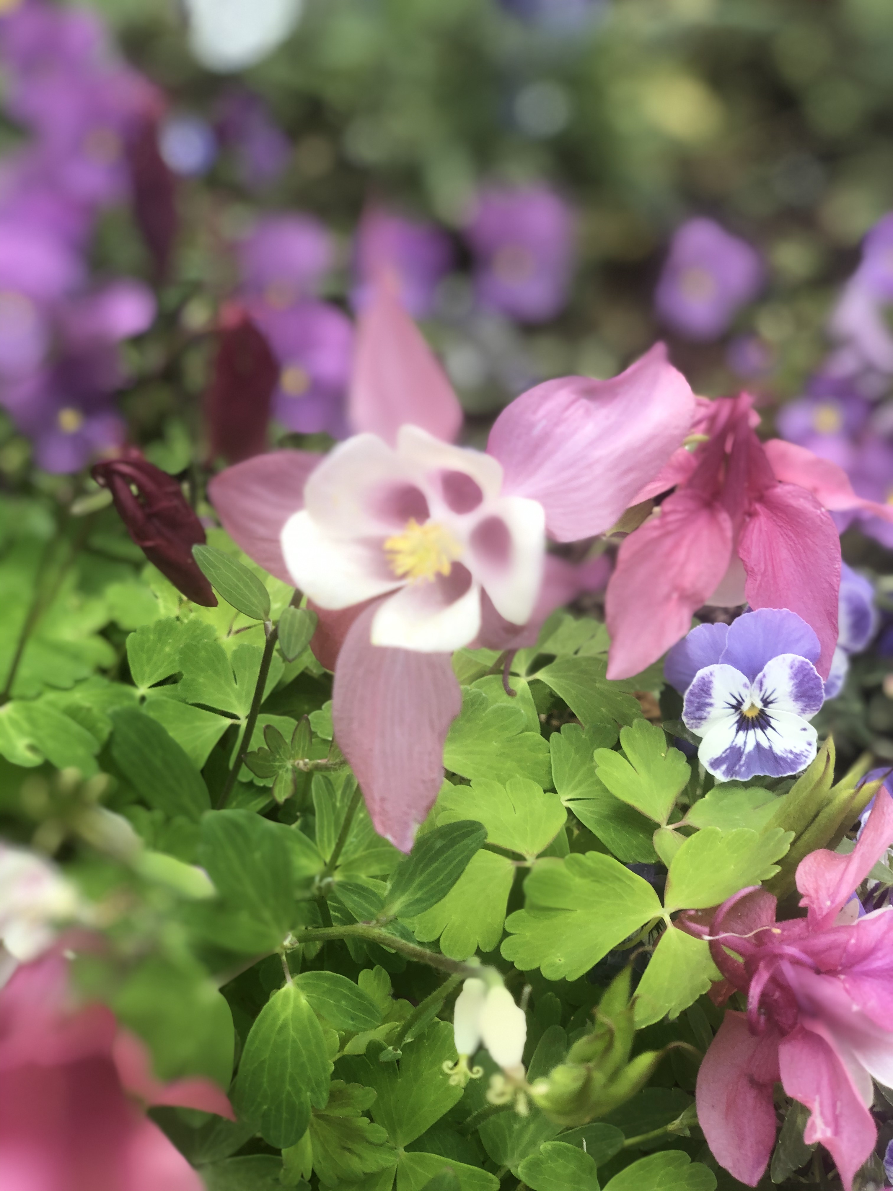 Photo n° 4 de l'avis de Sambassa.y fait le 25/05/2021 à 09:58