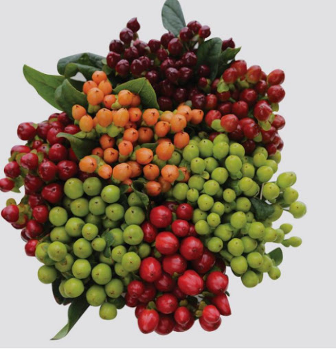 Florist «Floreria Alcatraz», reviews and photos, 159 Aldine Bender Rd #174, Houston, TX 77060, USA