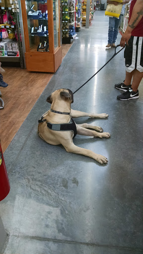 Home Improvement Store «Tractor Supply Co.», reviews and photos, 25606 S Arizona Ave, Chandler, AZ 85248, USA