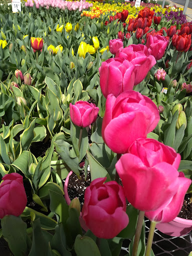 Home Improvement Store «The Home Depot», reviews and photos, 4095 US-1, Monmouth Junction, NJ 08852, USA