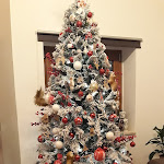 Photo n°6 de l'avis de Primo.o fait le 31/12/2019 à 17:20 sur le  B&B A due passi à Lorica