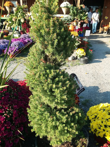 Produce Market «The Bigsby Market», reviews and photos, 1418 Dryden Rd, Freeville, NY 13068, USA