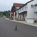 Photo n°1 de l'avis de Ubemannet.u fait le 21/05/2023 à 19:36 sur le  Hotel Sonnental - Jürgen Fuchs à Neusorg