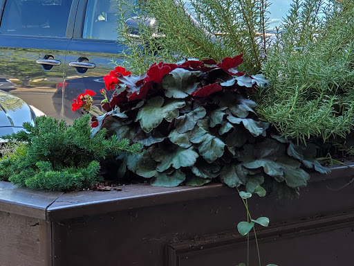 Cafe «Dulce Cafe & Gelato», reviews and photos, 5826 Fayetteville St #106, Durham, NC 27713, USA